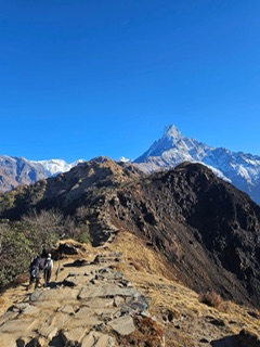 media image