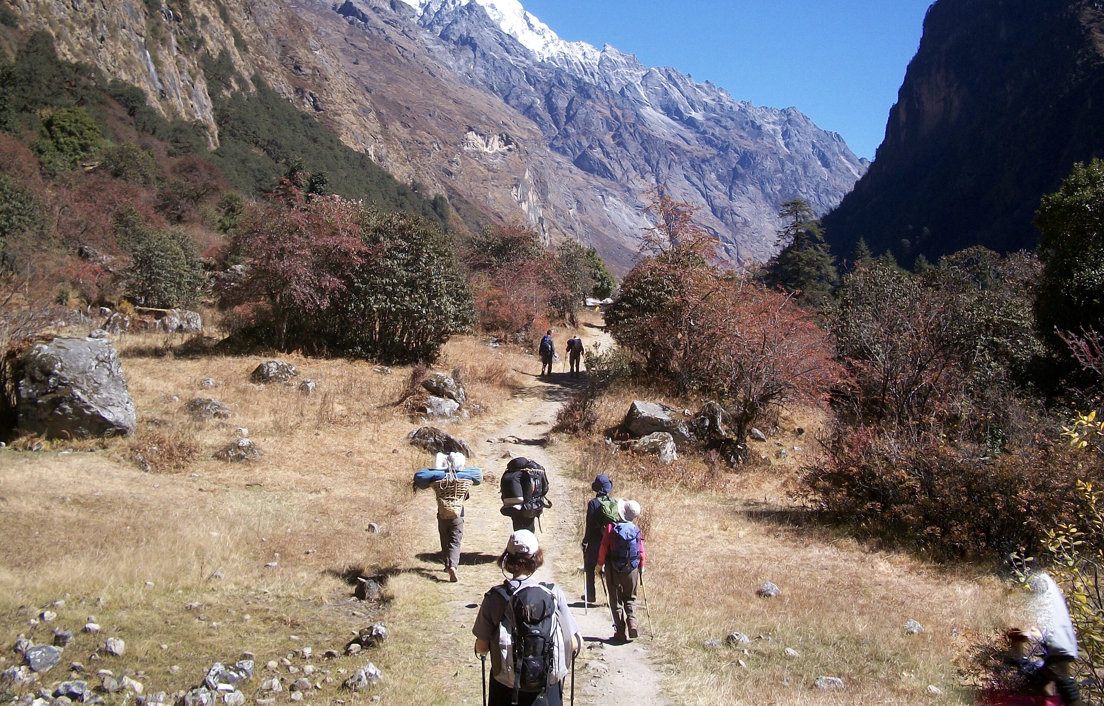 media image